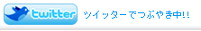 �c�C�b�^�[�łԂ₫��!!